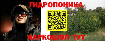 скорость Можга