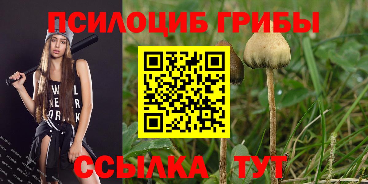 Галлюциногенные грибы прущие грибы Энгельс